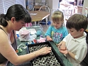 Alex_PlantingSpringSeeds (4)
